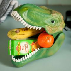 Dinosaurus lunchbox
