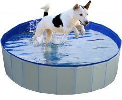 Hondenzwembad
