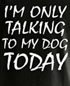 T-shirt: I am only talking to my dog today