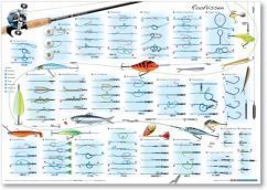 Poster met knoopvoorbeelden voor roofvissen