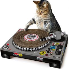 DJ Cat Scratch draaitafel