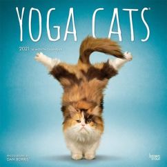 Yoga cats kalender