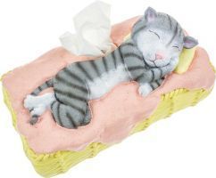 Tissue box met slapende kat