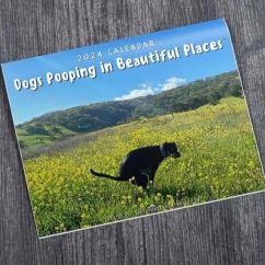 Kalender met foto's van poepende honden