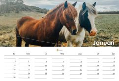Gepersonaliseerde paardenkalender